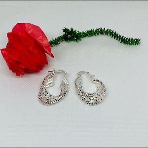 Gorgeous Silver Plated Earrings